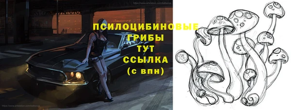 винт Баксан