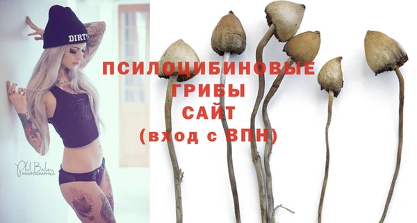 винт Баксан