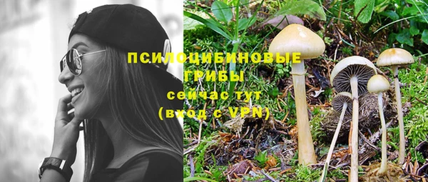 дурь Сатка